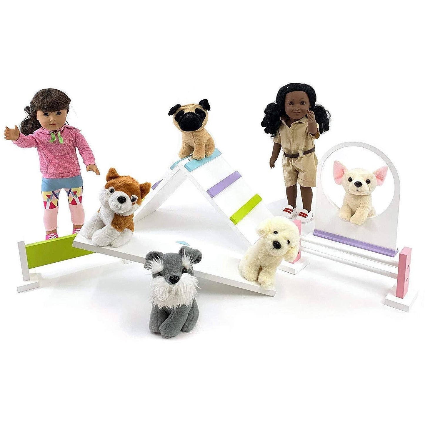 Dog Training Set